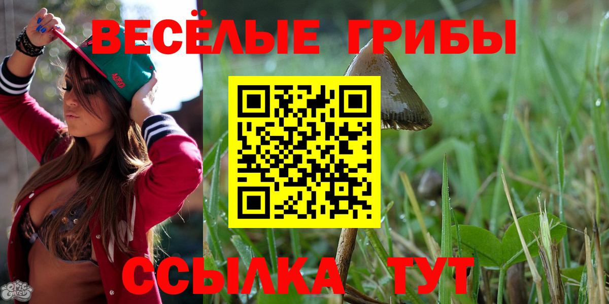 Псилоцибиновые грибы ЛСД  Галлюциногенные грибы ЛСД  Зеленогорск  Вход с VPN 