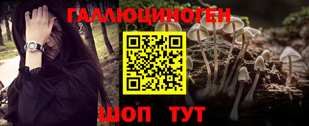 Галлюциногенные грибы GOLDEN TEACHER Зеленогорск