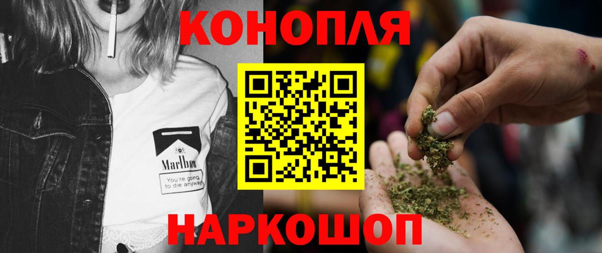 Бошки марихуана планчик  Каннабис гибрид  Зеленогорск  Вход с VPN  Бошки Шишки MAZAR 